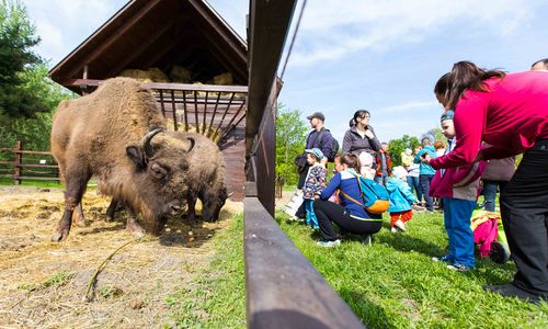 Körösvölgyi Állatpark